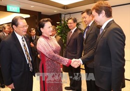 Chủ tịch Quốc hội tiếp đại diện doanh nghiệp Singapore đầu tư tại Việt Nam 